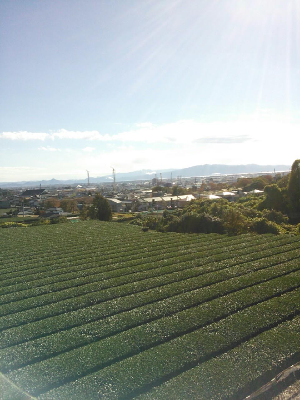 View photos from the dwelling unit. View from the site (November 2013) Shooting