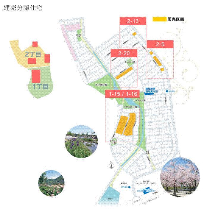 The entire compartment Figure. Compartment figure