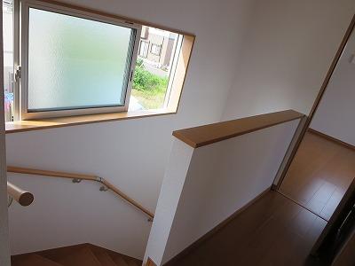 Other introspection. Stairs of the same specification