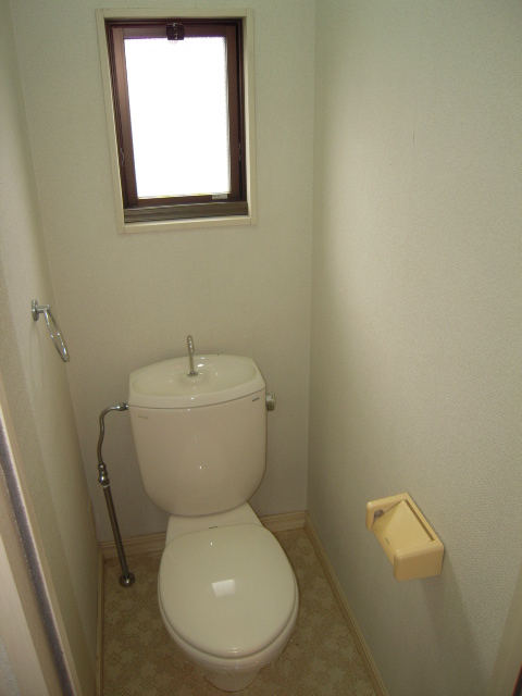 Toilet. Bright toilet because there is a window
