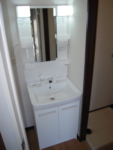 Washroom. Vanity with a shower