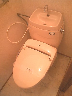 Toilet