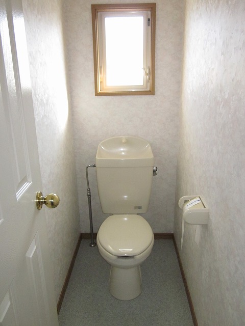 Toilet. There is a window, Bright toilet.