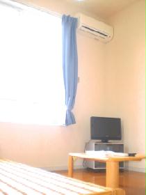 Living and room. bed, table, tv set, Air conditioning, curtain, Lighting equipment installation