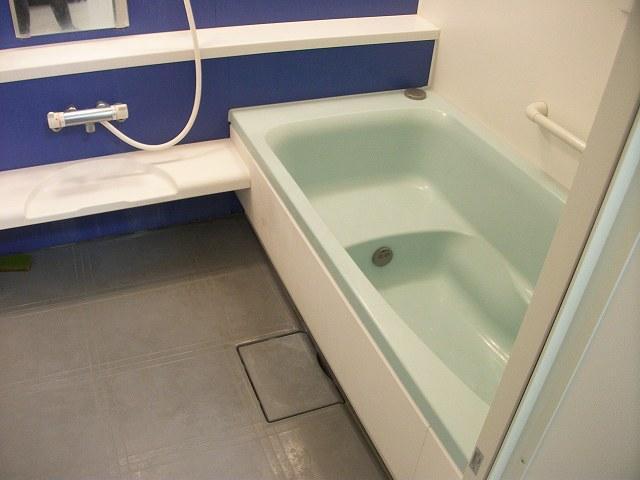 Bathroom. Refreshing bathroom in which the blue tones