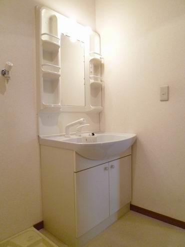 Washroom. Shampoo dresser