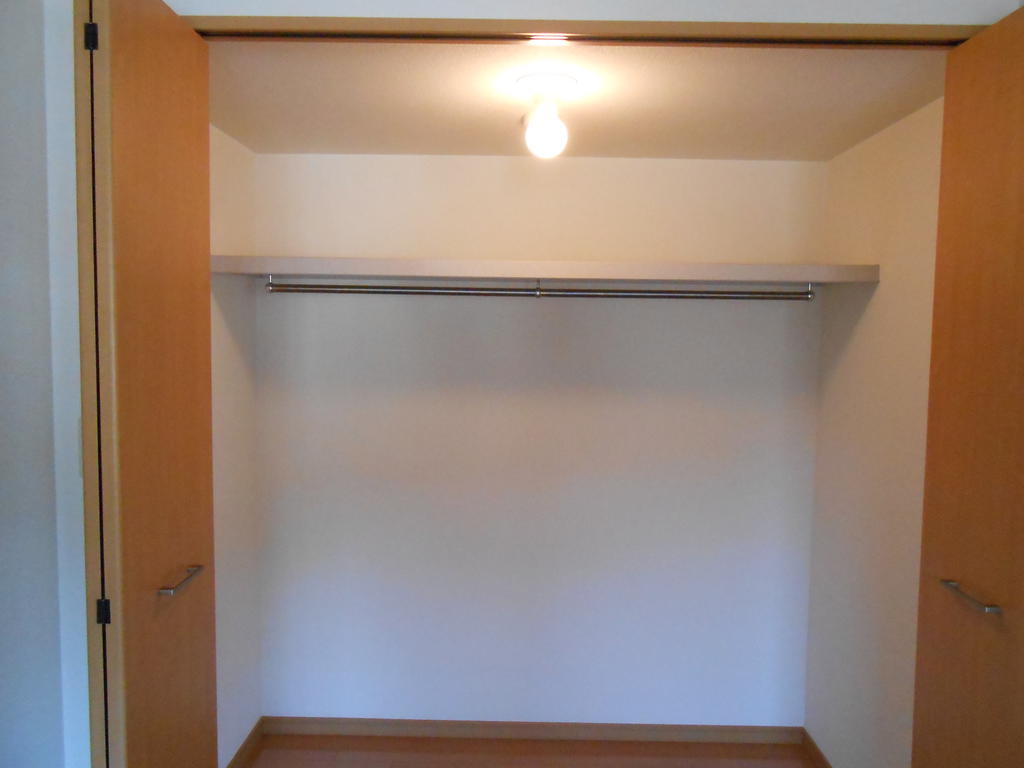 Other. Walk-in closet