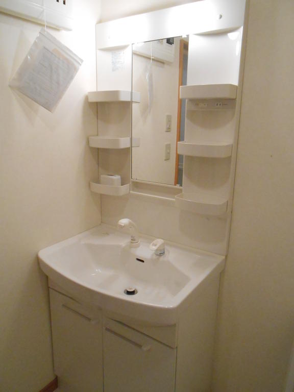 Washroom. Shampoo dresser