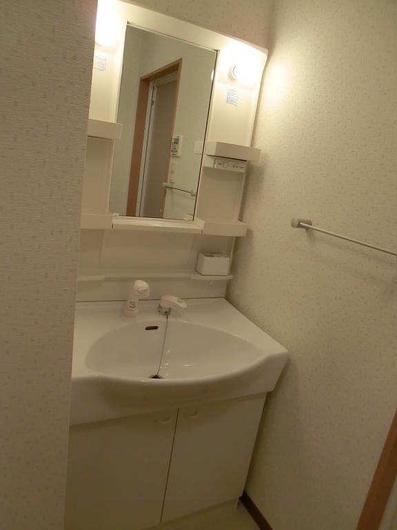 Washroom. Vanity with shower (same type)
