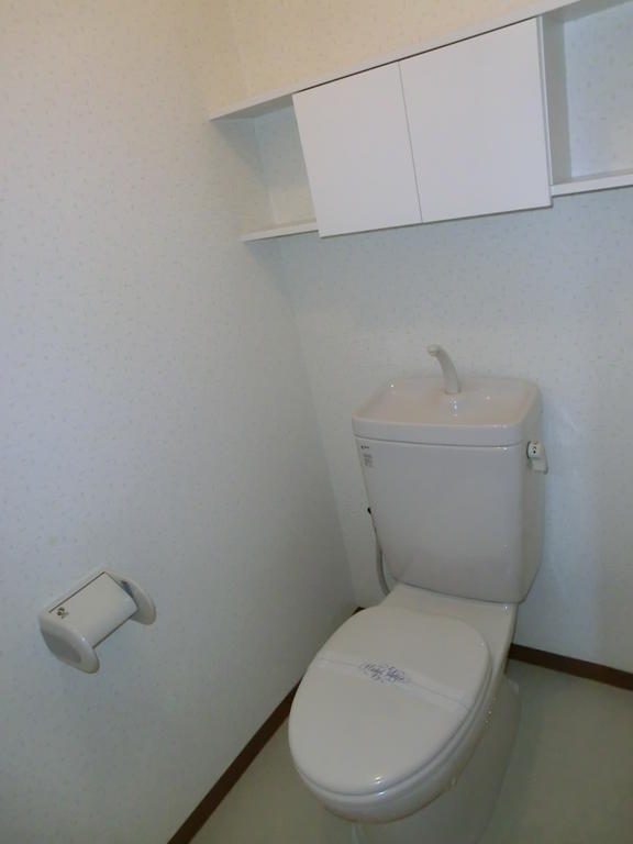 Toilet. (Isomorphic)
