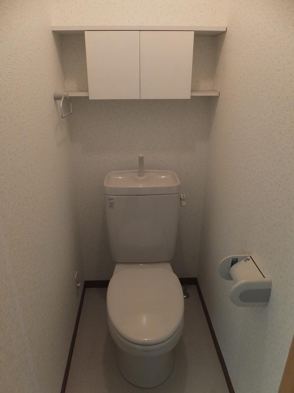 Toilet. With storage shelves Isomorphism