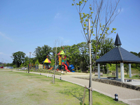 park. Are features in the new urban central park in the Town