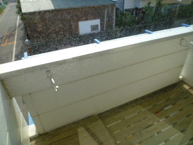 Balcony. Veranda