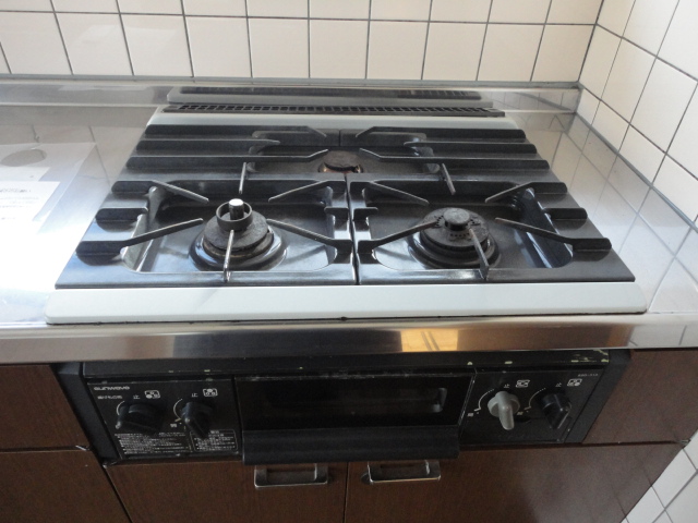 Kitchen. Gas stove with grill
