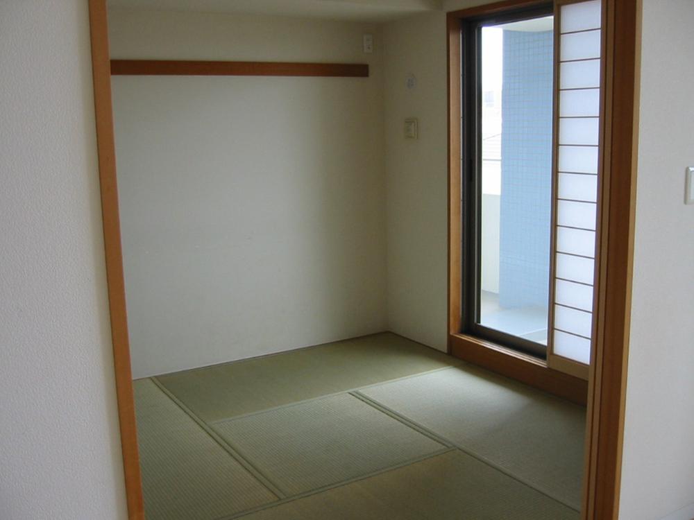 Other introspection. Indoor (July 2013) Shooting