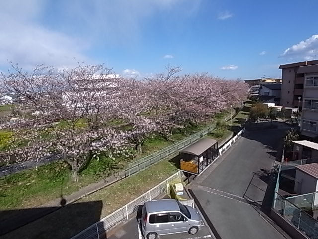 View. From 301 south balcony