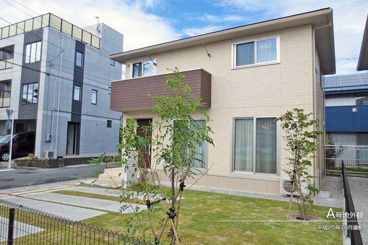 Other.  [A No. land] Appearance Photo] 2013 October shooting