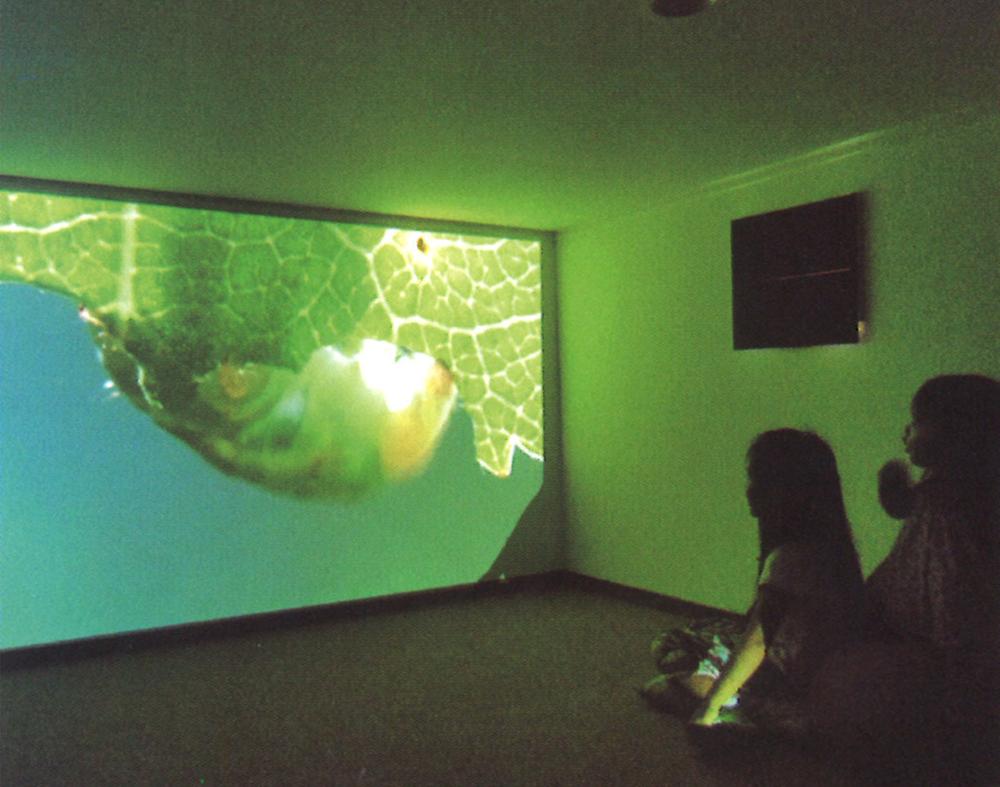 Other. Storage space in the large capacity