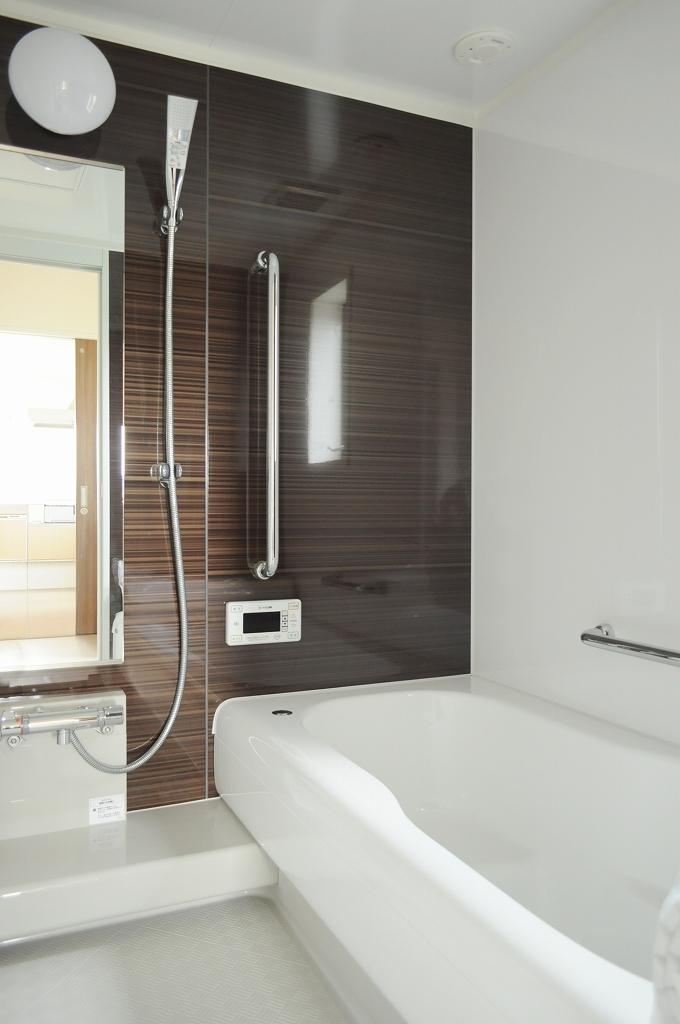 Bathroom. Bathroom (2013 November shooting)