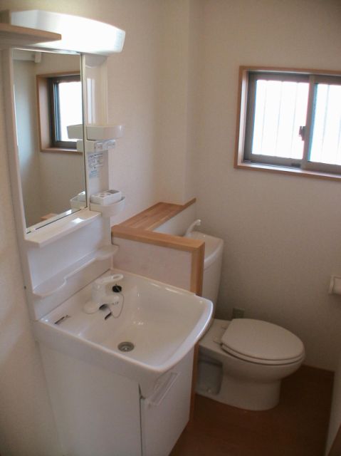 Washroom. Toilet and wash basin