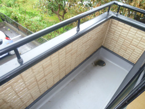 Balcony. Veranda