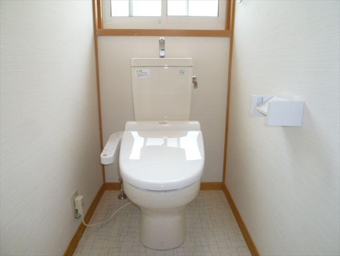 Toilet. Hot-water heating toilet seat