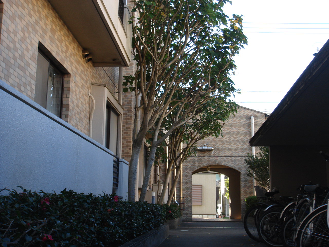 Entrance. Green some common areas