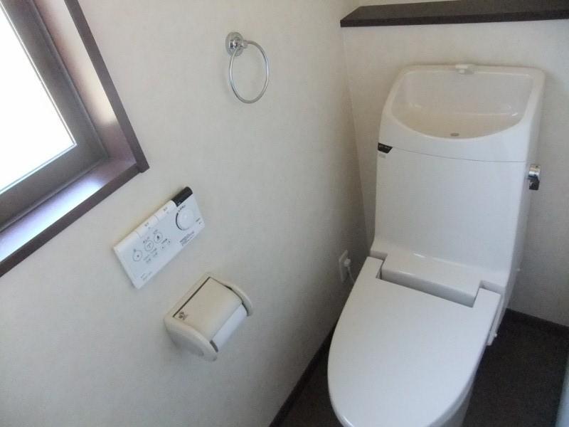 Toilet. With cleaning function