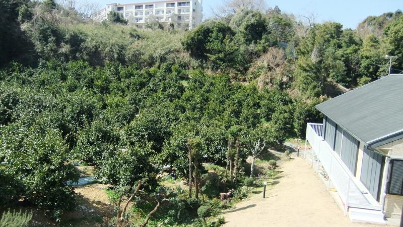 View photos from the dwelling unit. Southwest side of the view! Overlooking the south from the second floor. There mandarin orange field soon. . . And, It is very quiet.