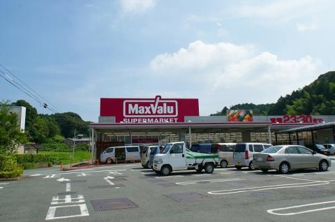 Supermarket. Maxvalu until Hosoe shop 1253m
