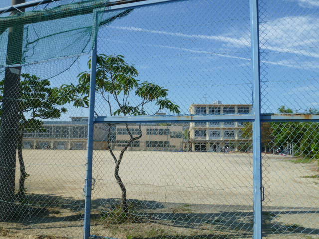Primary school. Iida up to elementary school (Iida-cho) (Elementary School) 353m