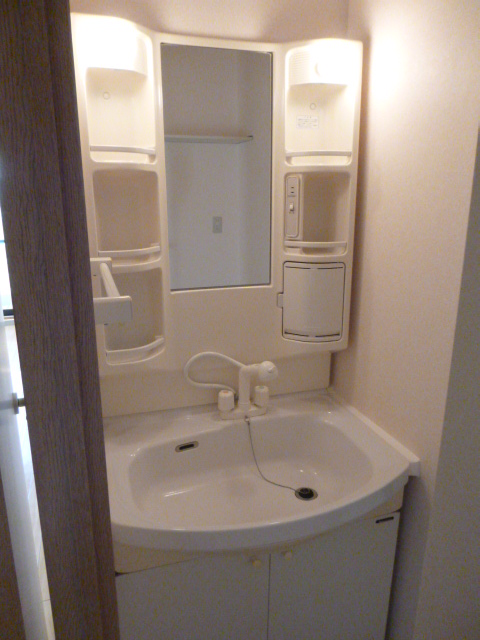 Washroom. Shampoo dresser