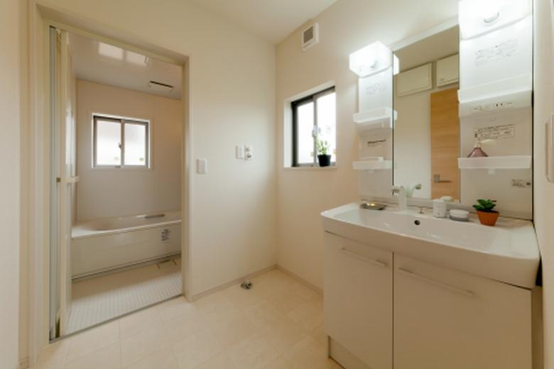 Wash basin, toilet. A white clean sanitary