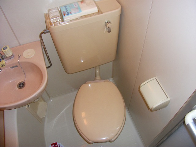 Toilet