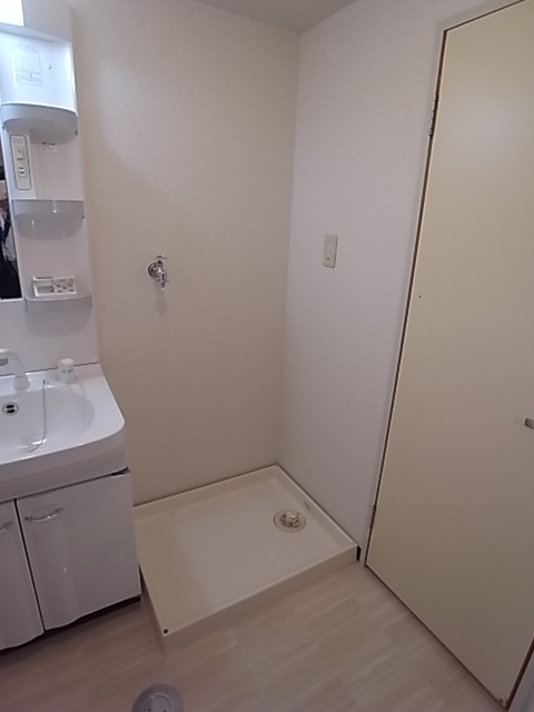 Toilet. Laundry Area