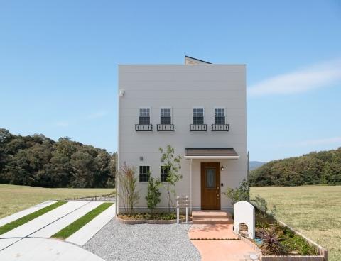 Local appearance photo. The appearance of the European taste, Relax in the natural posture, Warmth full house. 