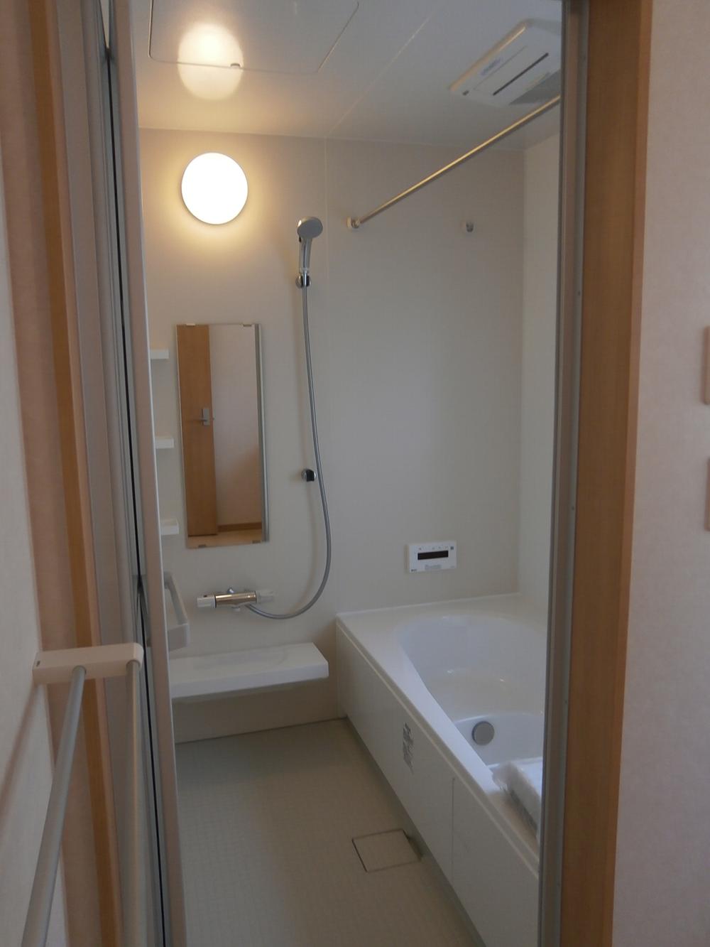 Bathroom. Stylish accent panel specification (local 2013 September 2 shooting)