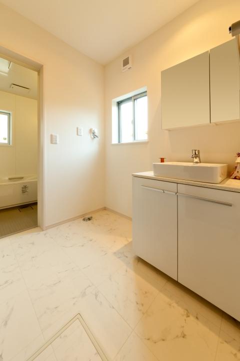 Wash basin, toilet. Stylish basin of fixtures