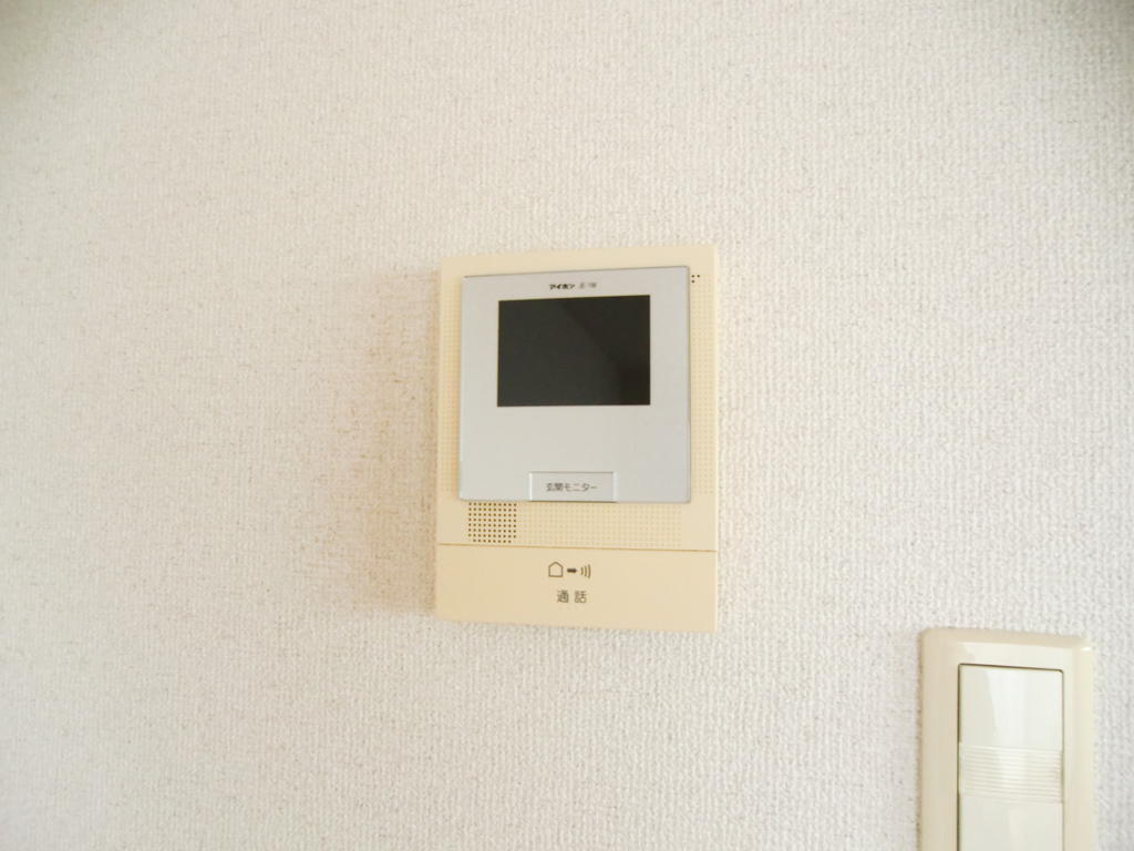 Security. Intercom with TV monitor