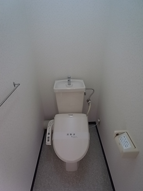 Toilet. Shower toilet