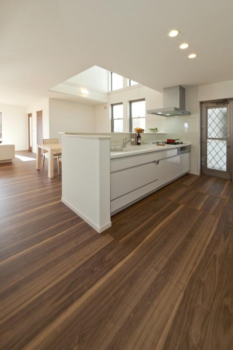 Kitchen. Kitchen with open sense of atrium is bathed in bright sunshine. 