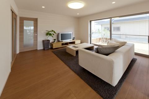 Living. From the window of the large opening, Living room bathed in bright sun. 