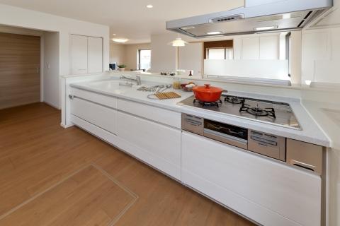 Kitchen. Face-to-face kitchen with a pantry is excellent for storage, There is a bright and airy. 