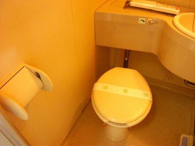 Toilet