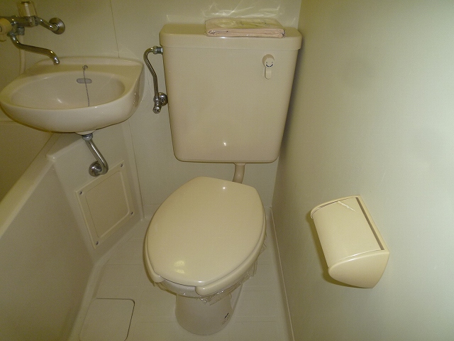 Toilet