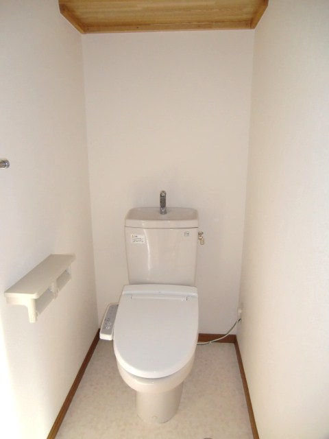 Toilet. With hot-water heating toilet seat