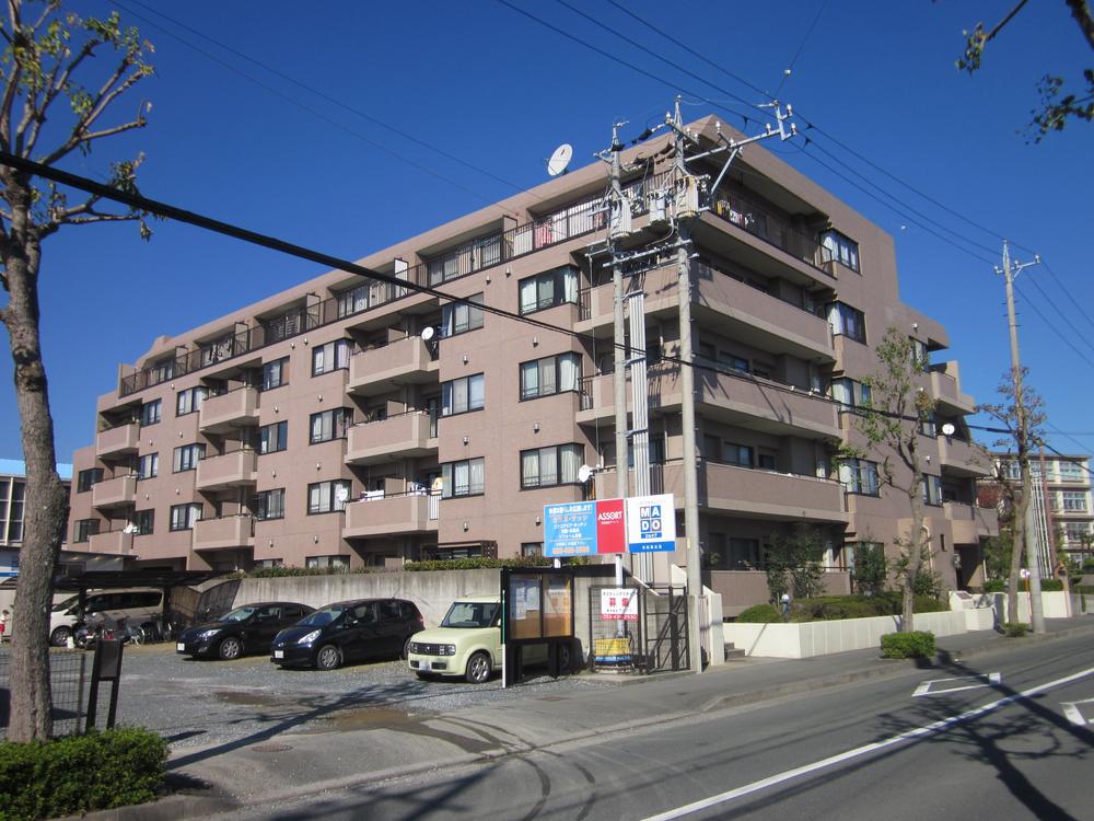 Local appearance photo