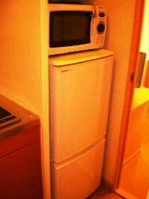 Other. refrigerator ・ microwave