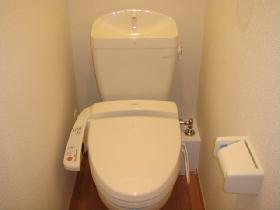 Toilet. Warm water washing toilet seat