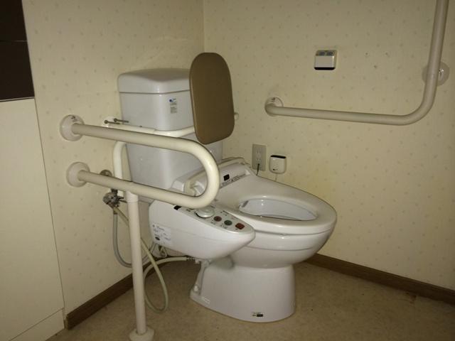 Toilet. Handrail with open toilet!